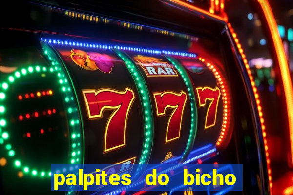 palpites do bicho no celular